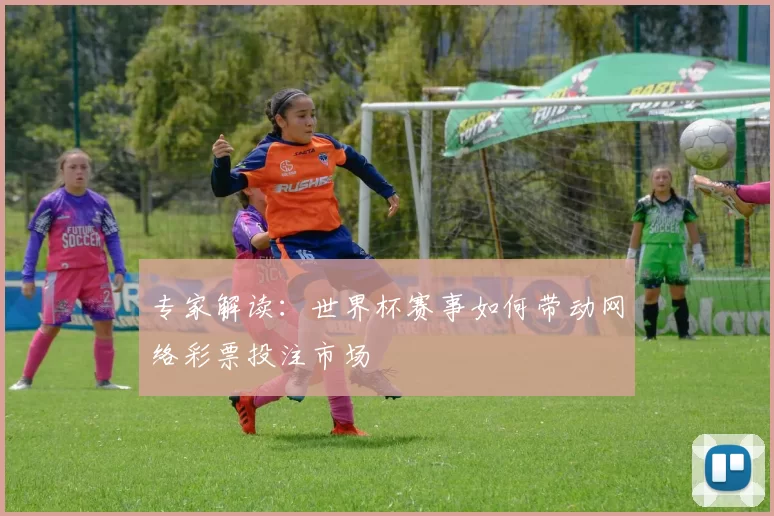 专家解读：世界杯赛事如何带动网络彩票投注市场