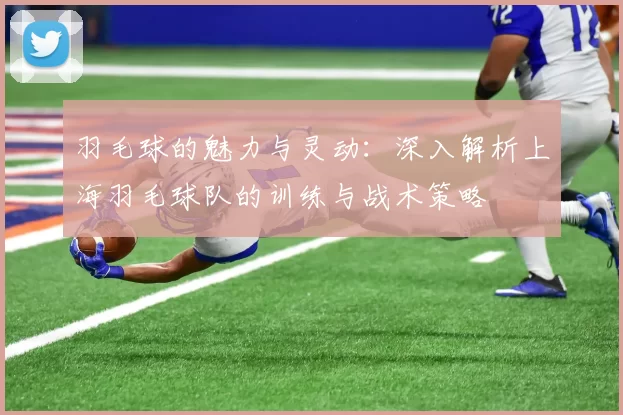 羽毛球的魅力与灵动：深入解析上海羽毛球队的训练与战术策略