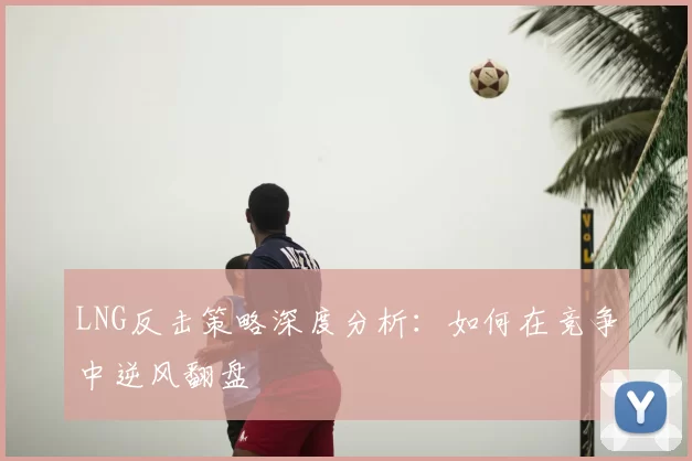 LNG反击策略深度分析：如何在竞争中逆风翻盘