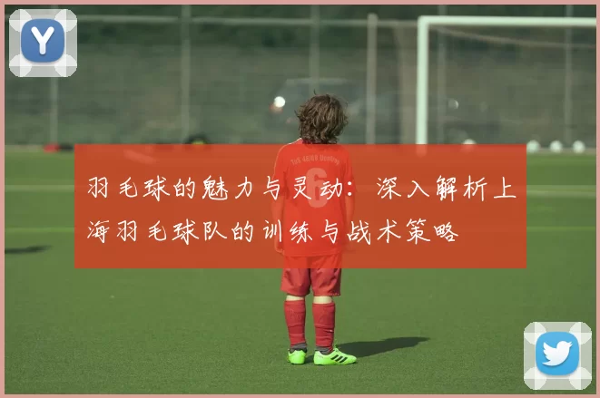 羽毛球的魅力与灵动：深入解析上海羽毛球队的训练与战术策略