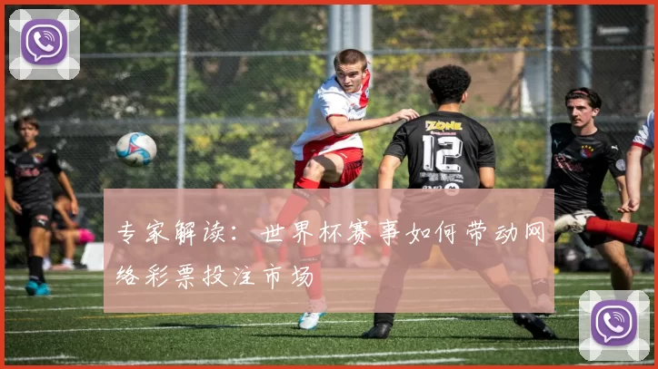 专家解读：世界杯赛事如何带动网络彩票投注市场