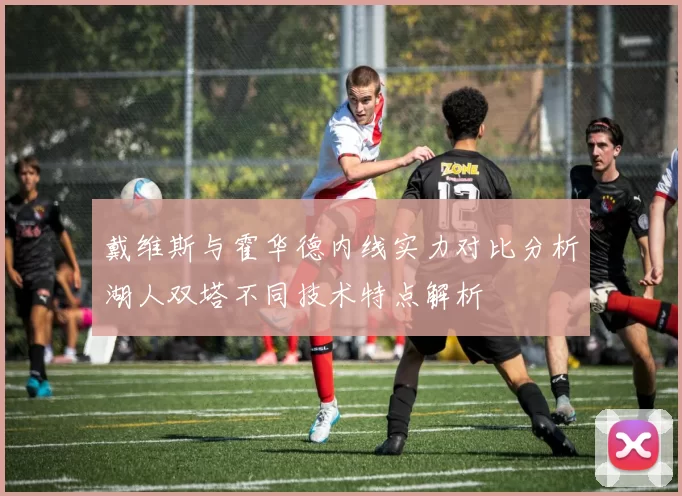 戴维斯与霍华德内线实力对比分析湖人双塔不同技术特点解析
