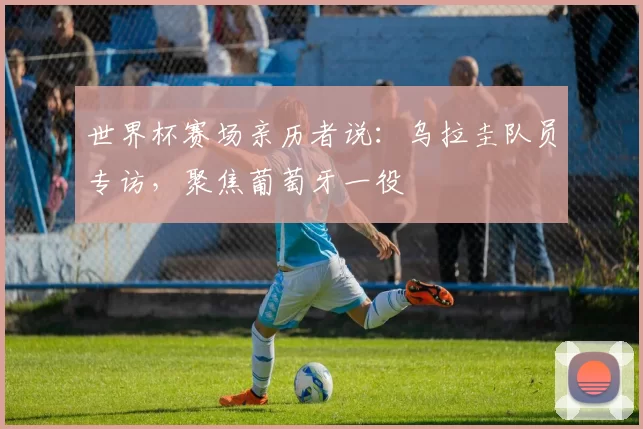 世界杯赛场亲历者说：乌拉圭队员专访，聚焦葡萄牙一役