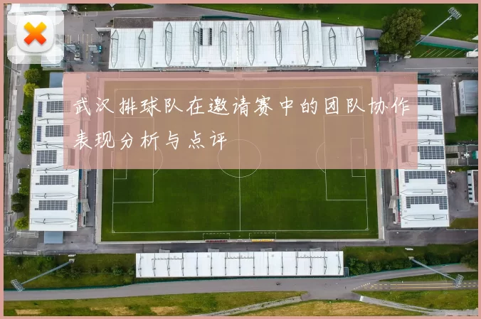 武汉排球队在邀请赛中的团队协作表现分析与点评
