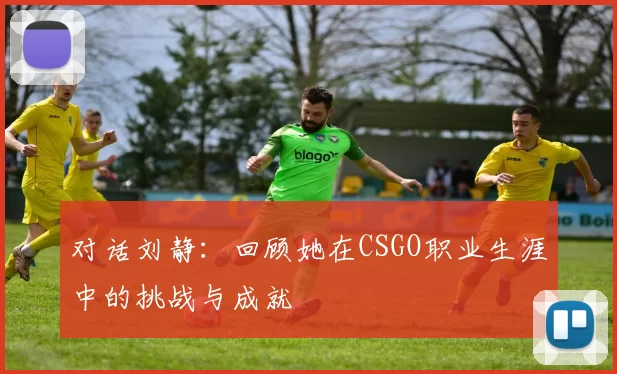 对话刘静:回顾她在CSGO职业生涯中的挑战与成就