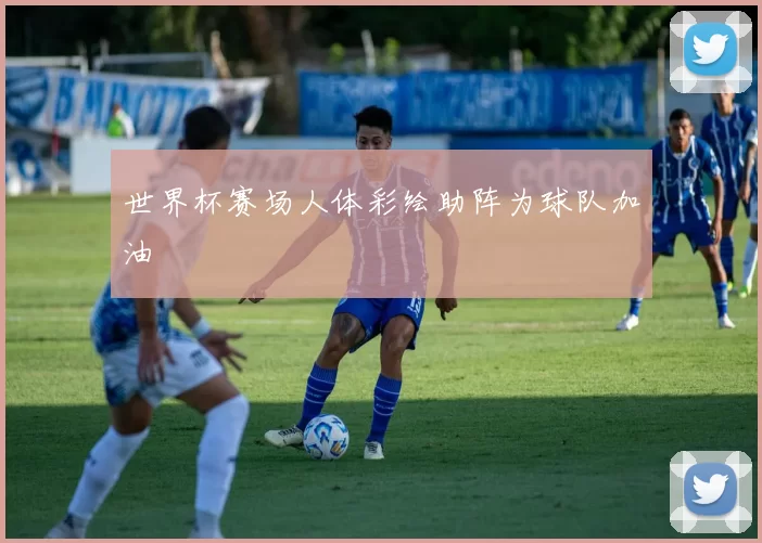 世界杯赛场人体彩绘助阵为球队加油
