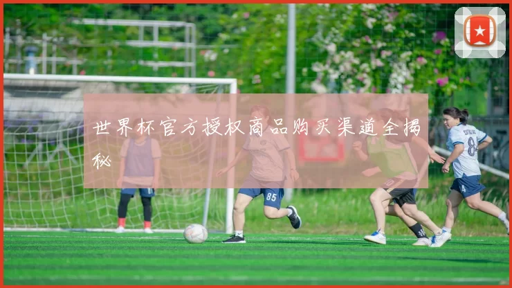 世界杯官方授权商品购买渠道全揭秘