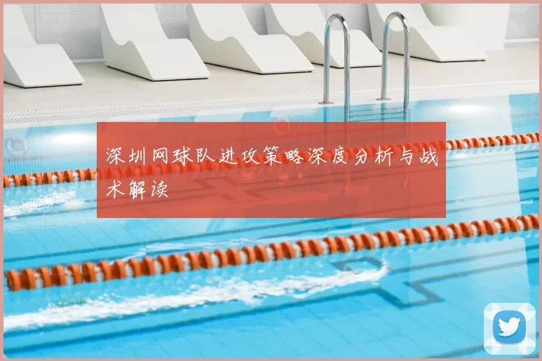深圳网球队进攻策略深度分析与战术解读