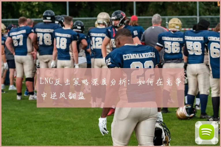 LNG反击策略深度分析：如何在竞争中逆风翻盘